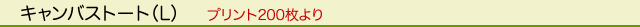 �G�R�o�b�O�^�R�b�g���^�L�����o�X�g�[�g�iL�j