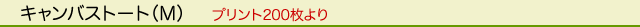 �G�R�o�b�O�^�R�b�g���^�L�����o�X�g�[�g�iM�j
