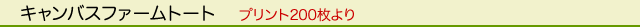 �G�R�o�b�O�^�R�b�g���^�L�����o�X�t�@�[���g�[�g