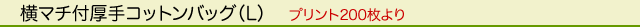 �G�R�o�b�O�^�R�b�g���^���}�`�t����R�b�g���o�b�O�iL�j