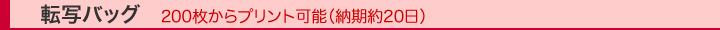 不織布袋/転写バッグ